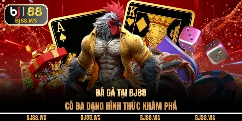 Đá gà tại BJ88 có đa dạng hình thức khám phá