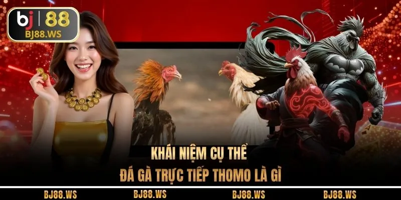 Khái niệm cụ thể đá gà trực tiếp Thomo là gì