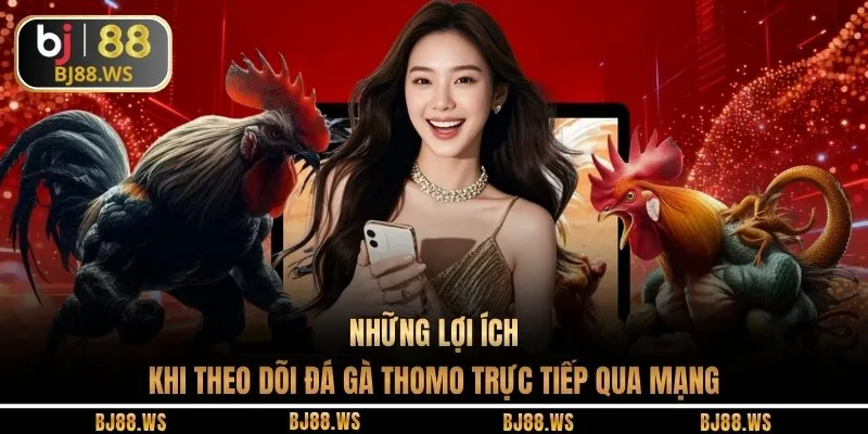 Những lợi ích khi theo dõi đá gà Thomo trực tiếp qua mạng